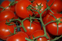 Tomaten2 200